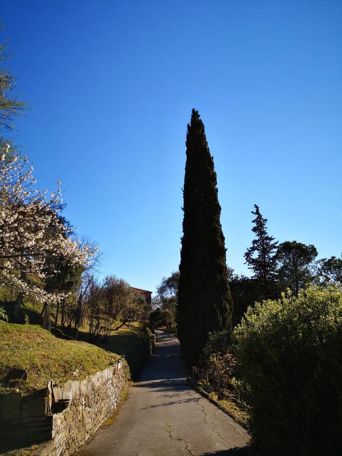 Villa La Vivagna - Casa Vista Mare Tra Gli Ulivi Leivi Exterior foto