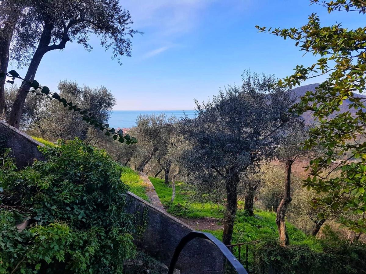 Villa La Vivagna - Casa Vista Mare Tra Gli Ulivi Leivi Exterior foto